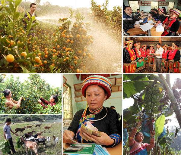 Vốn chính sách dành cho đồng bào dân tộc thiểu số: Nâng cao chất lượng cuộc sống