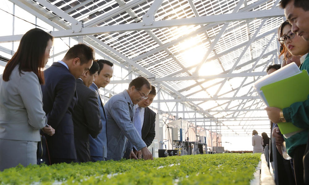 Bắt tay đối tác Nhật, FLC dự kiến đầu tư 1,5 tỷ USD vào nông nghiệp công nghệ cao Việt Nam