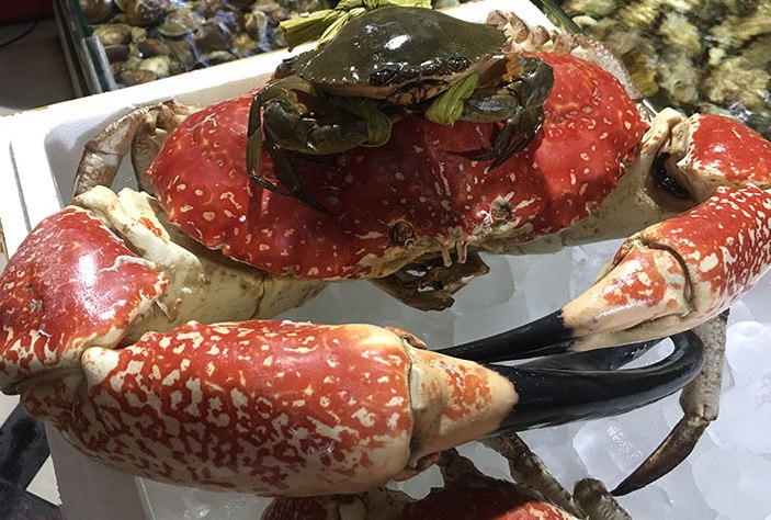 cua biển,đại gia việt,đặc sản nhà giàu