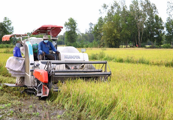 Đồng bằng sông Cửu Long: Trăn trở chuyện công nghệ… hậu thu hoạch