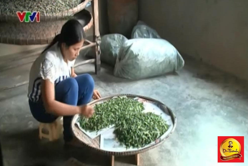 Cuộc sống của người phụ nữ nghèo khởi sắc sau 3 năm nuôi bò do Trà Dr Thanh hỗ trợ