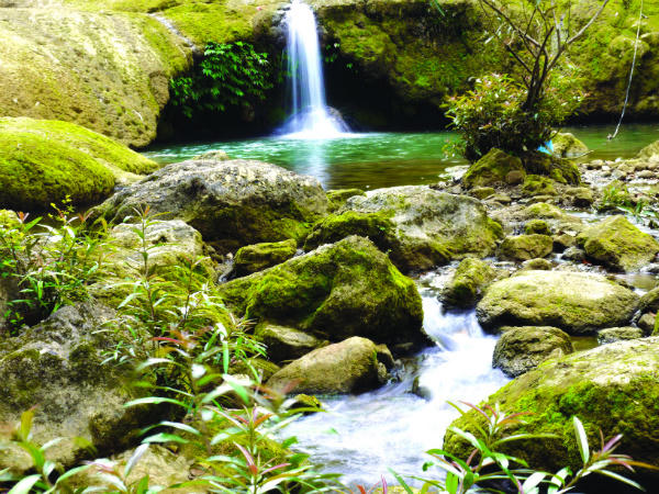 Ai lên xứ Lạng cùng anh?