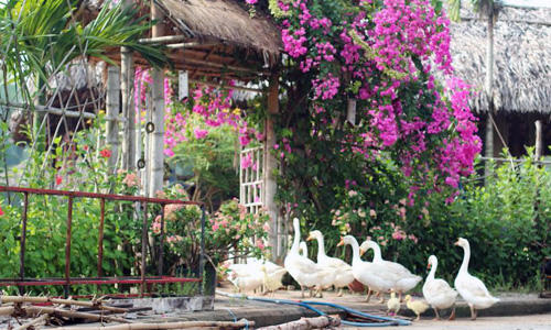 Homestay và garden house là hai đại diện cho xu hướng đầu tư bất động sản trải nghiệm, được ví như luồng gió mới thay đổi khẩu vị cho kênh bất động sản nghỉ dưỡng năm 2018. Ảnh: Haya Home