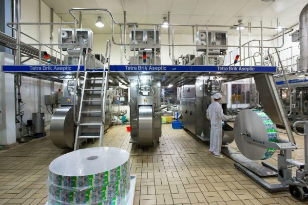 NutiFood xuất khẩu sữa qua thị trường Mỹ