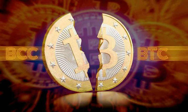 Bitcoin - Phía sau một cơn sốt...