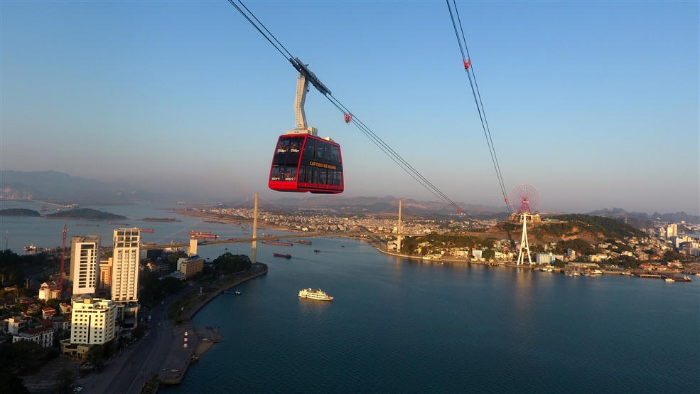 Đi thôi, cuối tuần này, hoa nở ngợp ngời ở Hạ Long