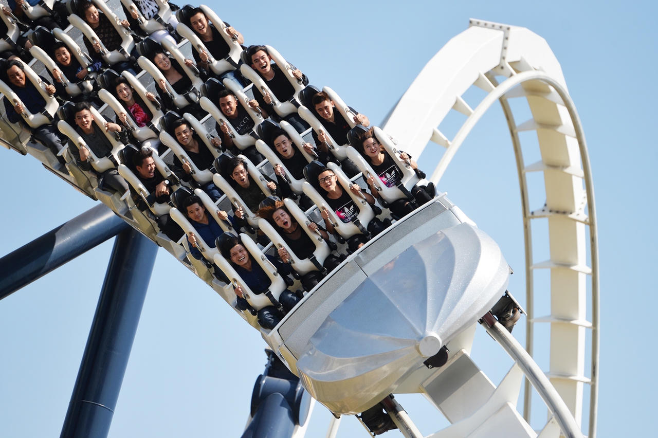 Đi thôi, cuối tuần này, hoa nở ngợp ngời ở Hạ Long