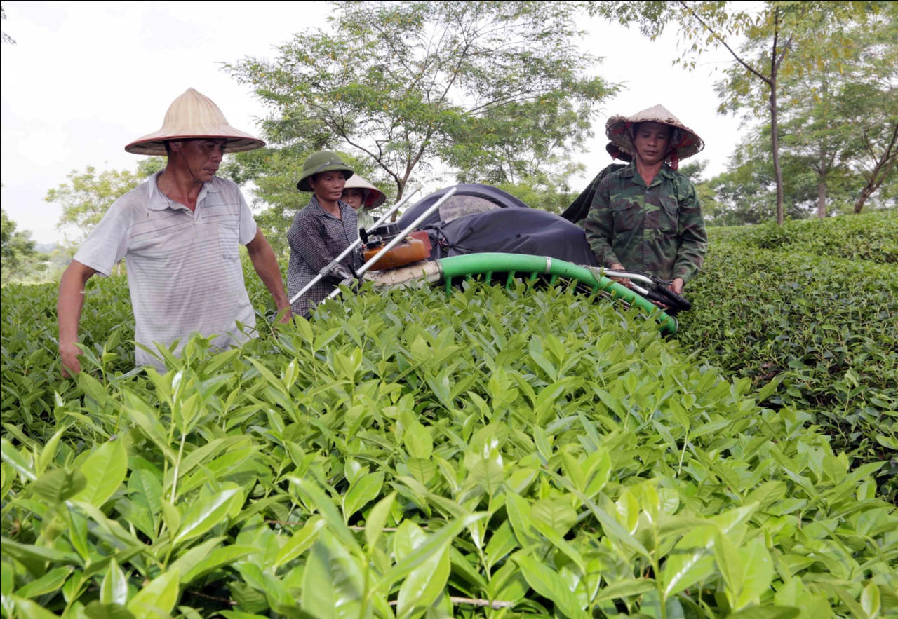 Tín dụng ưu đãi trên quê hương Tân Trào