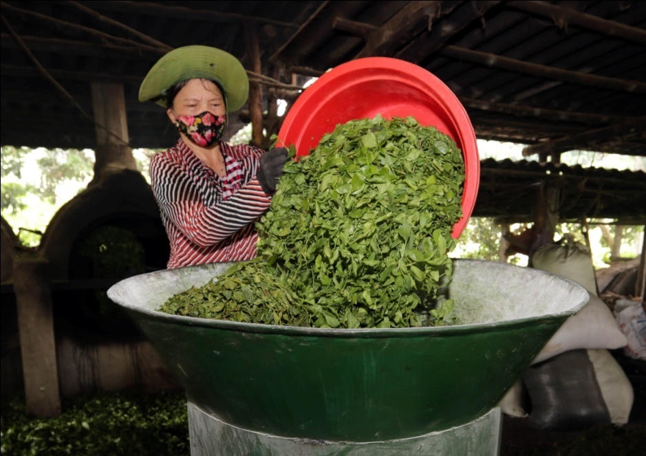 Tín dụng ưu đãi trên quê hương Tân Trào