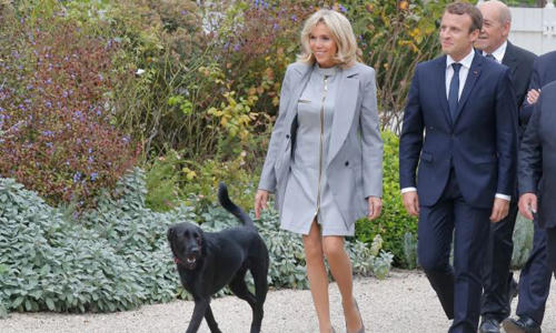 “Đệ nhất cẩu' của một số Tổng thống