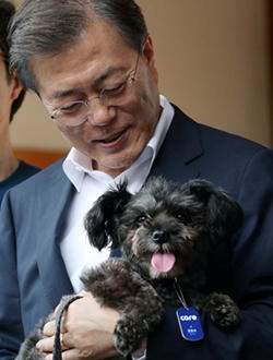 “Đệ nhất cẩu' của một số Tổng thống