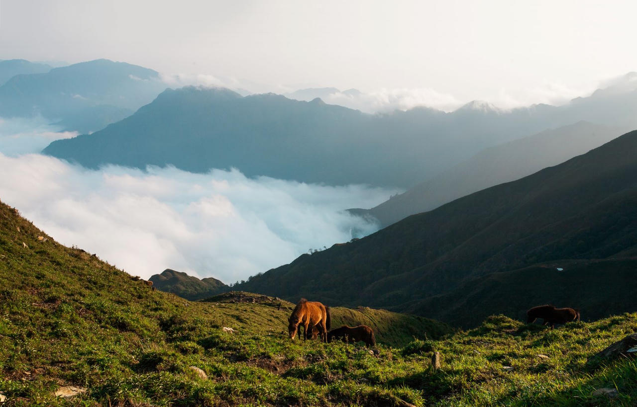 Mùa Xuân trên đỉnh Tà Chì Nhù