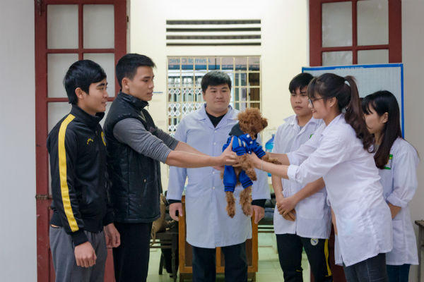 Vui buồn chuyện nghề bác sĩ cún cưng