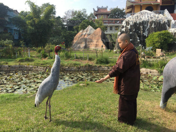 Đến thăm 'Liên hiệp quốc Phật giáo' tại nơi Phật ra đời