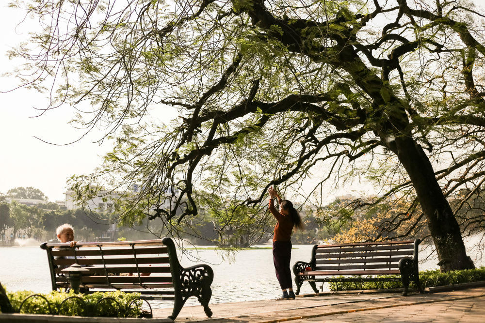 Khoảng lặng Hà Nội ngày nắng hanh