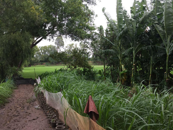 Tiếp vụ một dự án có nguy cơ chết yểu ở Cam Ranh, Khánh Hoà: Còn nhiều vấn đề chưa được làm rõ