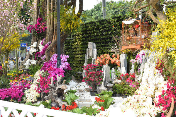 Người dân nô nức ngắm hoa anh đào giữa lòng thủ đô