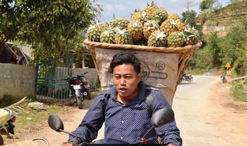 Bà con bấp bênh theo giá… chuối, dứa