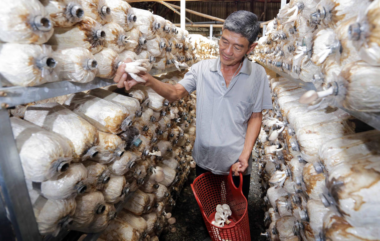 Bình Dương: Vốn chính sách trong xóa đói giảm nghèo