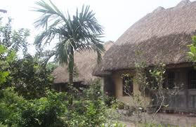 Có một bảo tàng của hồn quê nước Việt