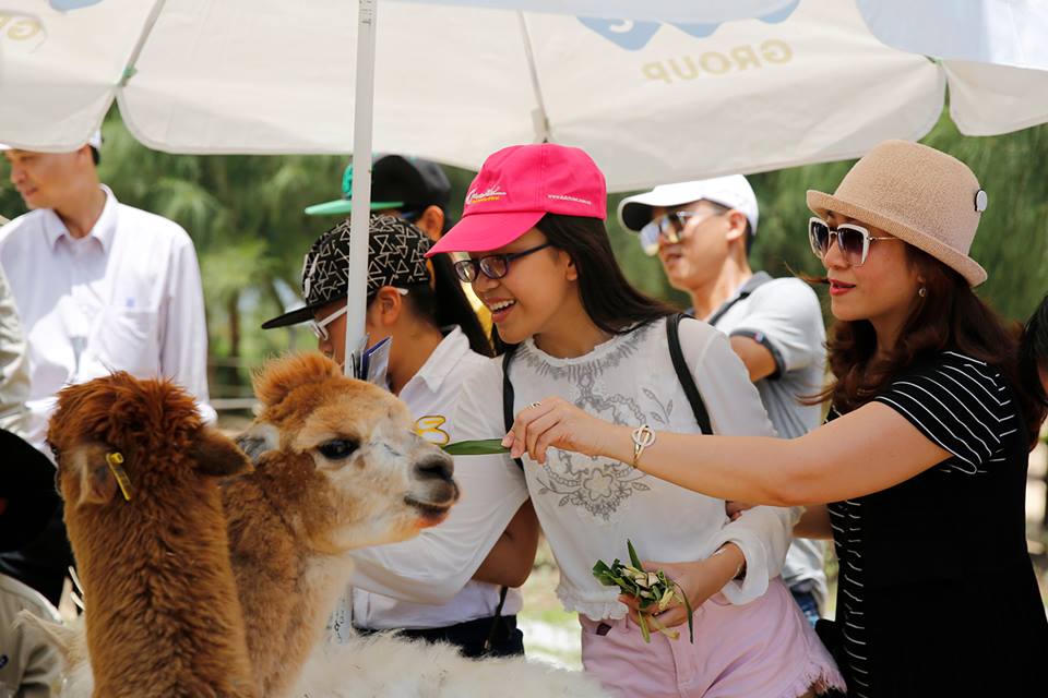 FLC Zoo Safari Park Quy Nhơn, địa điểm check in không thể bỏ lỡ mùa hè 2018