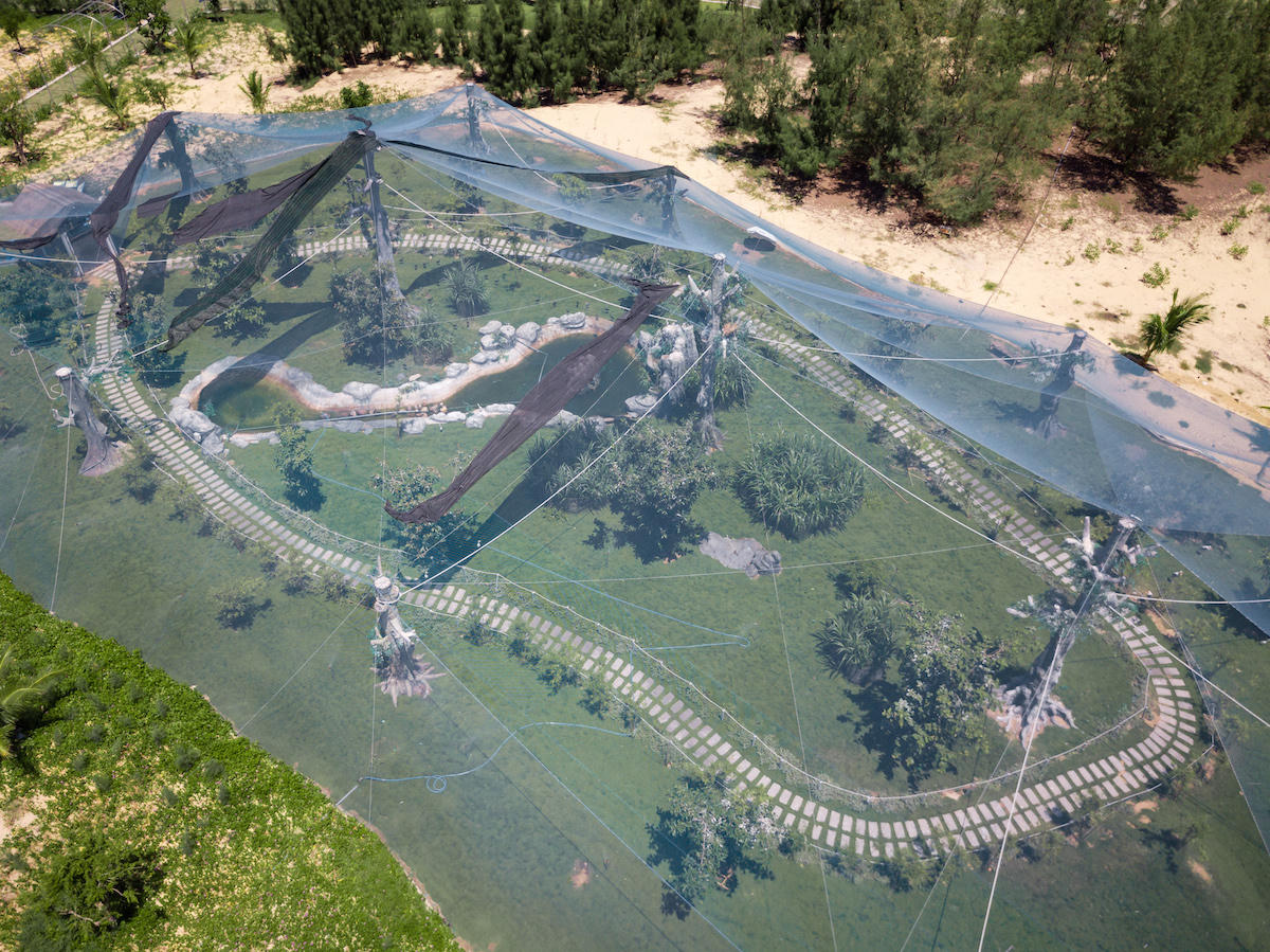 FLC Zoo Safari Park Quy Nhơn, địa điểm check in không thể bỏ lỡ mùa hè 2018