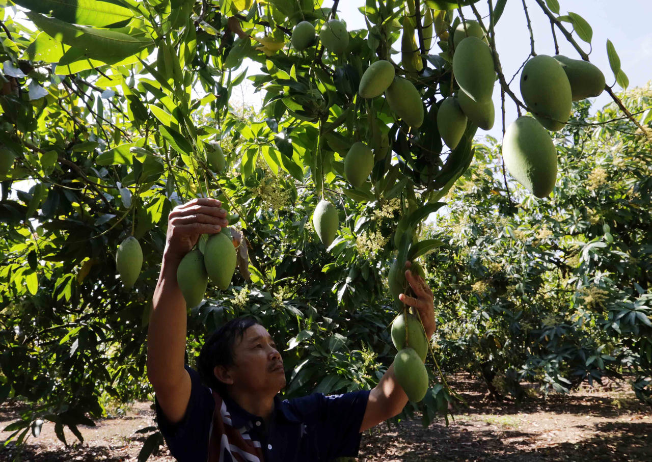 Đồng Nai: Niềm vui nhân lên từ những đồng vốn nhỏ