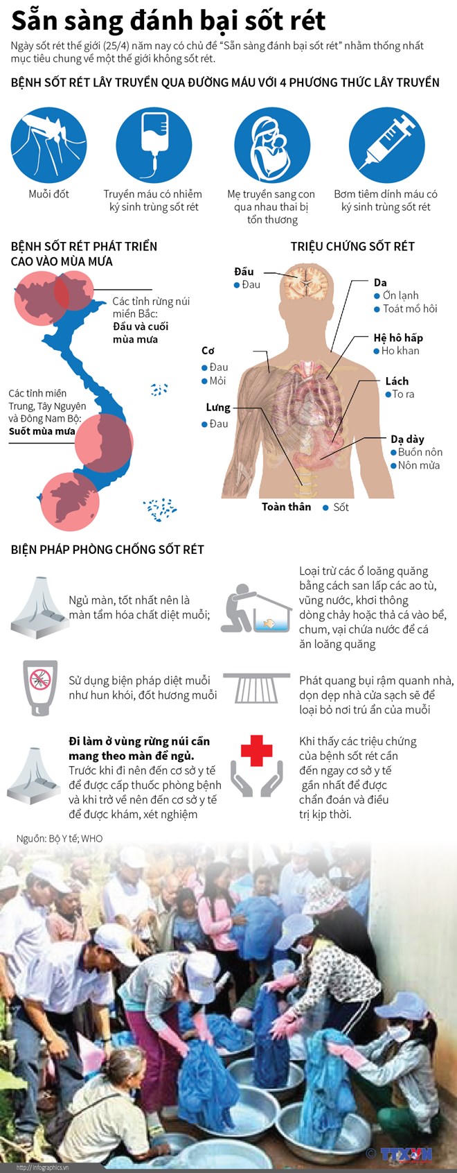 [Infographic] Triệu chứng và các biện pháp phòng bệnh sốt rét