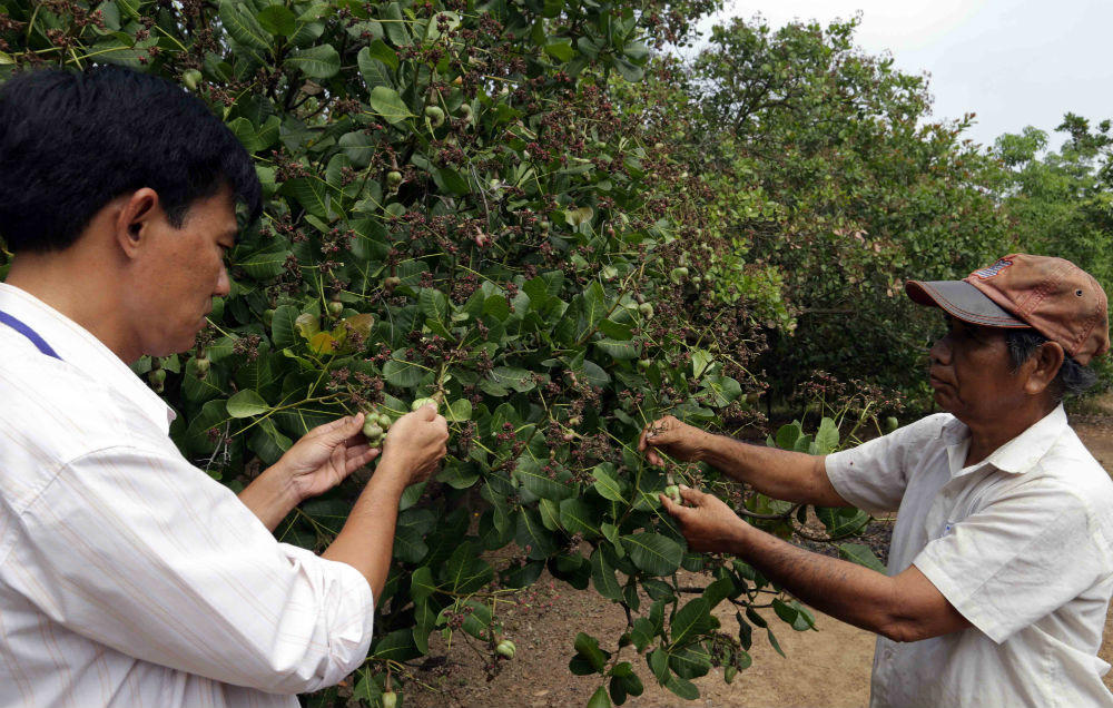 Dấu ấn tín dụng chính sách trên quê hương Bình Phước