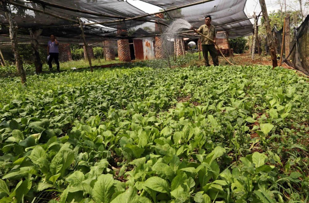 Dấu ấn tín dụng chính sách trên quê hương Bình Phước