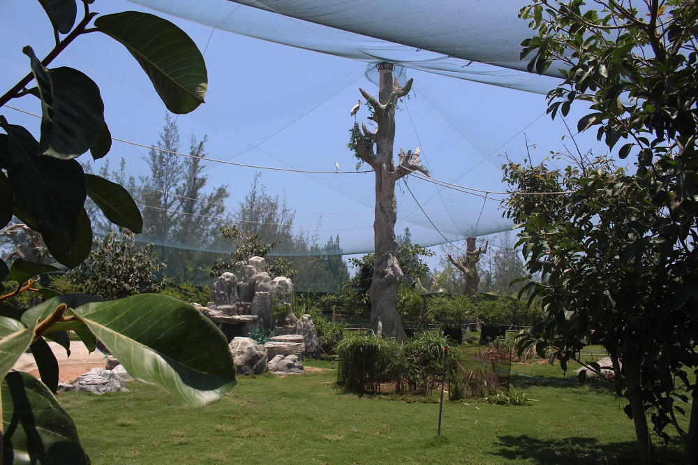 4 tuyến “ăn chơi” không thể bỏ qua khi đến Quy Nhơn dịp lễ 30/4