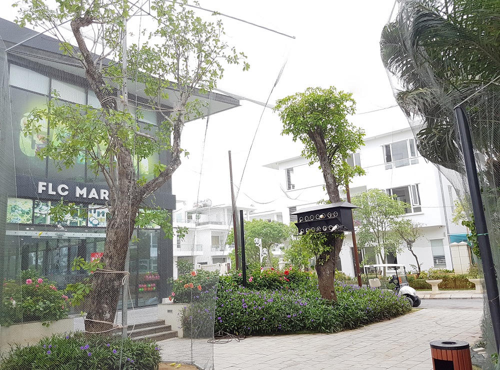 Nghỉ lễ 30/4 – 1/5, tới khám phá vườn chim nhiệt đới rực rỡ tại FLC Sầm Sơn