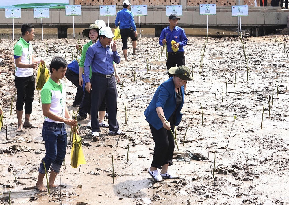 Vinamilk trồng gần 100 ngàn cây xanh và trao tặng 66 ngàn ly sữa tại Cà Mau