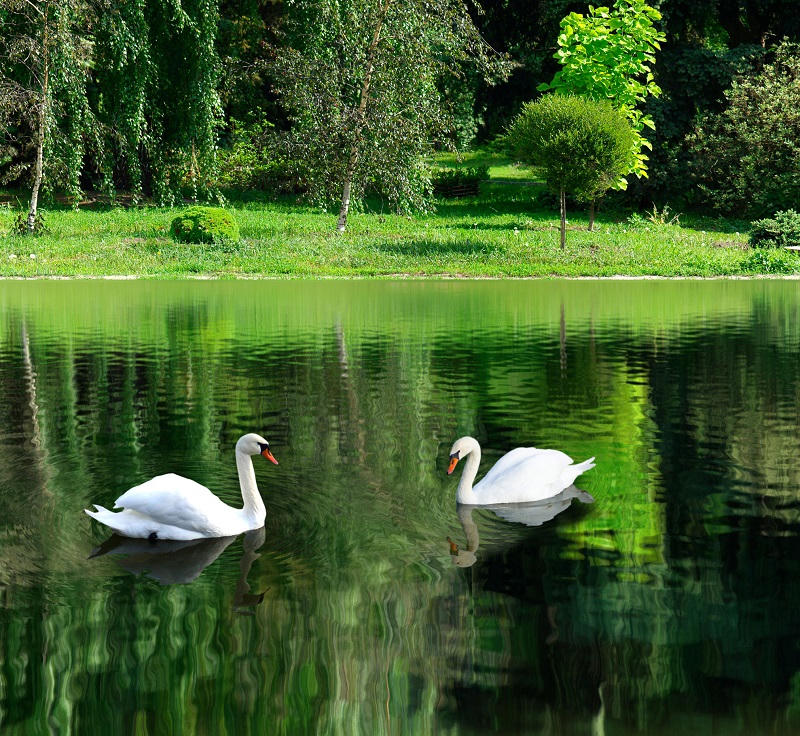 5 điểm đến “đốn tim” du khách và cư dân tại Best Western Premier FLC Quang Binh