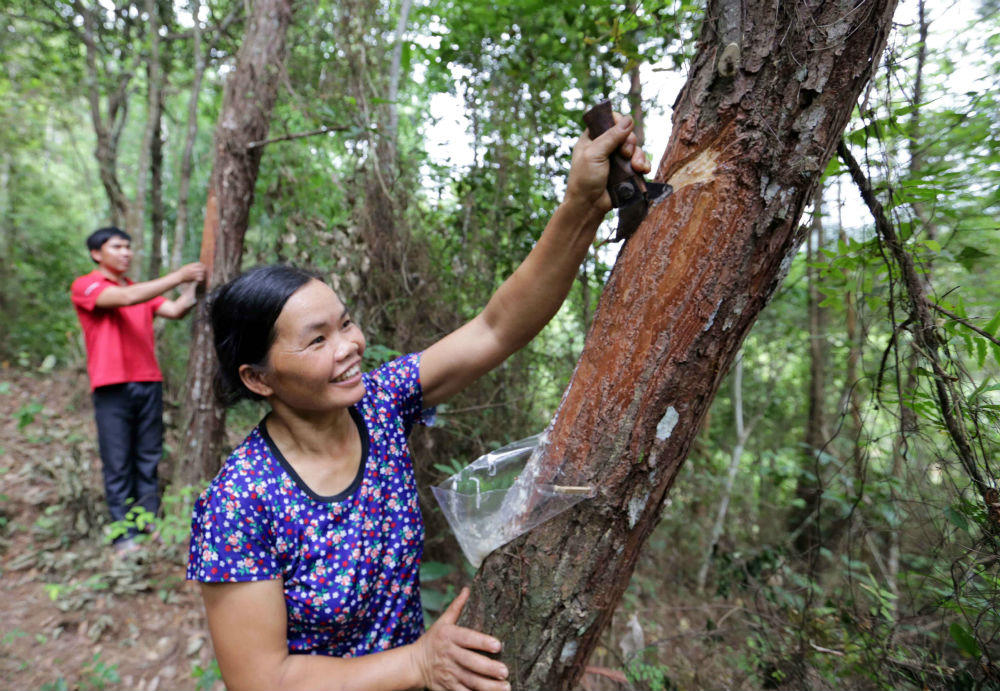 Lạng Sơn: Tín dụng chính sách tác động thiết thực đến đời sống đồng bào dân tộc thiểu số