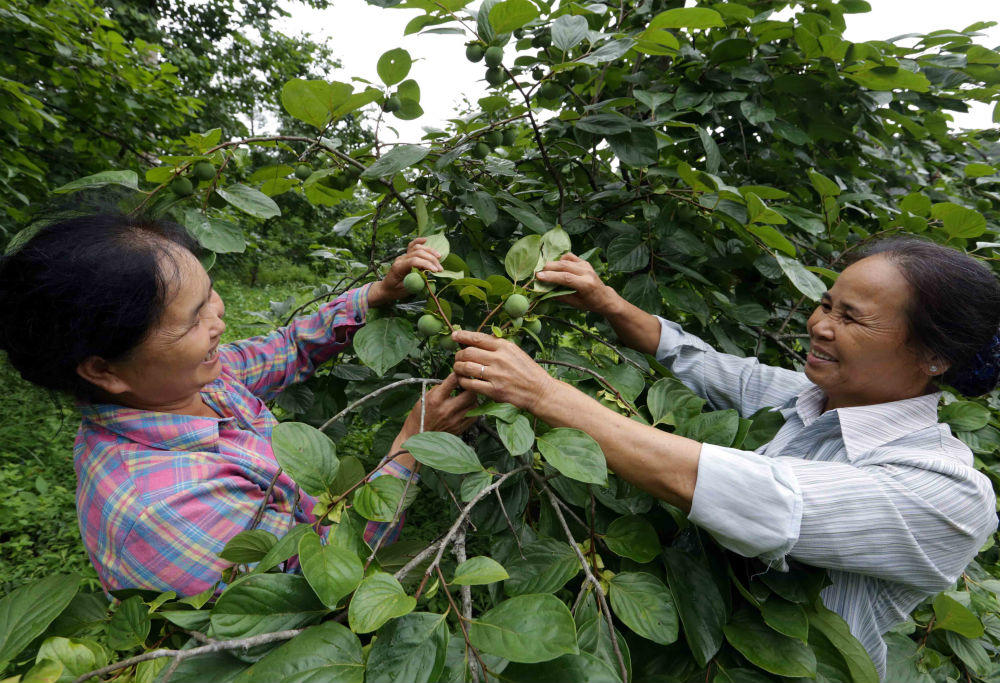Lạng Sơn: Tín dụng chính sách tác động thiết thực đến đời sống đồng bào dân tộc thiểu số
