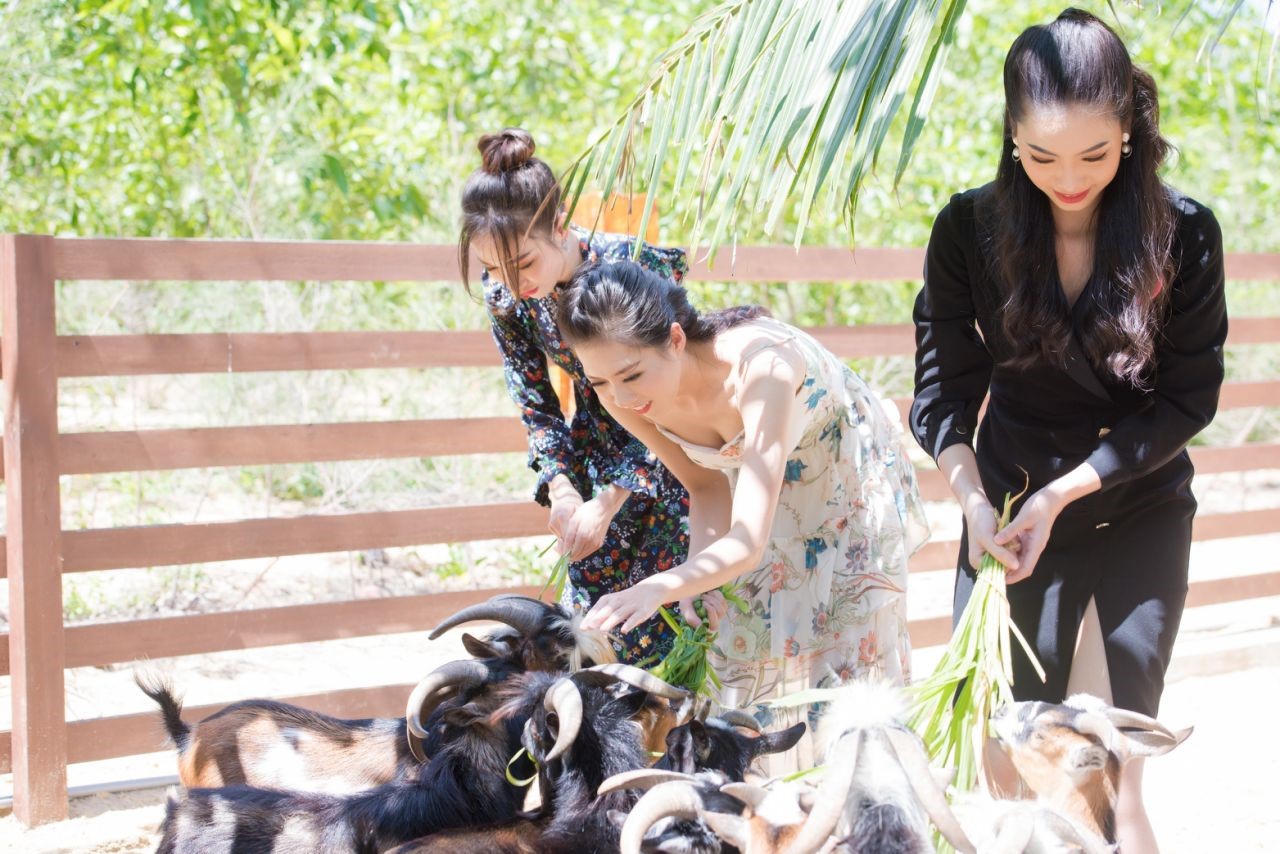 Local Retreat – Sống chậm lại để cảm nhận nhiều hơn 