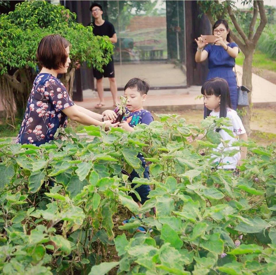 Ưu đãi trọn vẹn, tận hưởng thế giới giải trí tại FLC Vĩnh Phúc