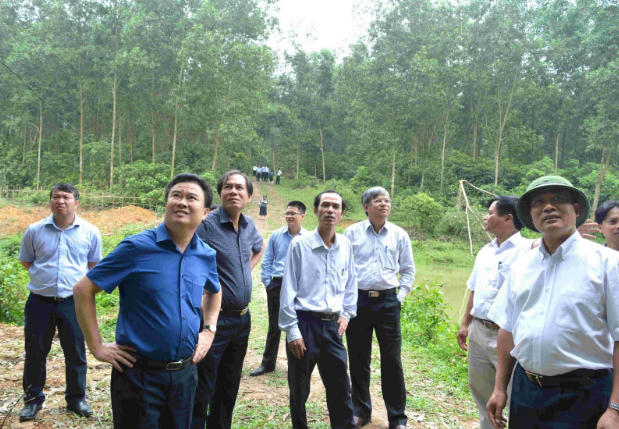 Thứ trưởng Bộ Công Thương Cao Quốc Hưng làm việc với Tổng công ty Giấy Việt Nam