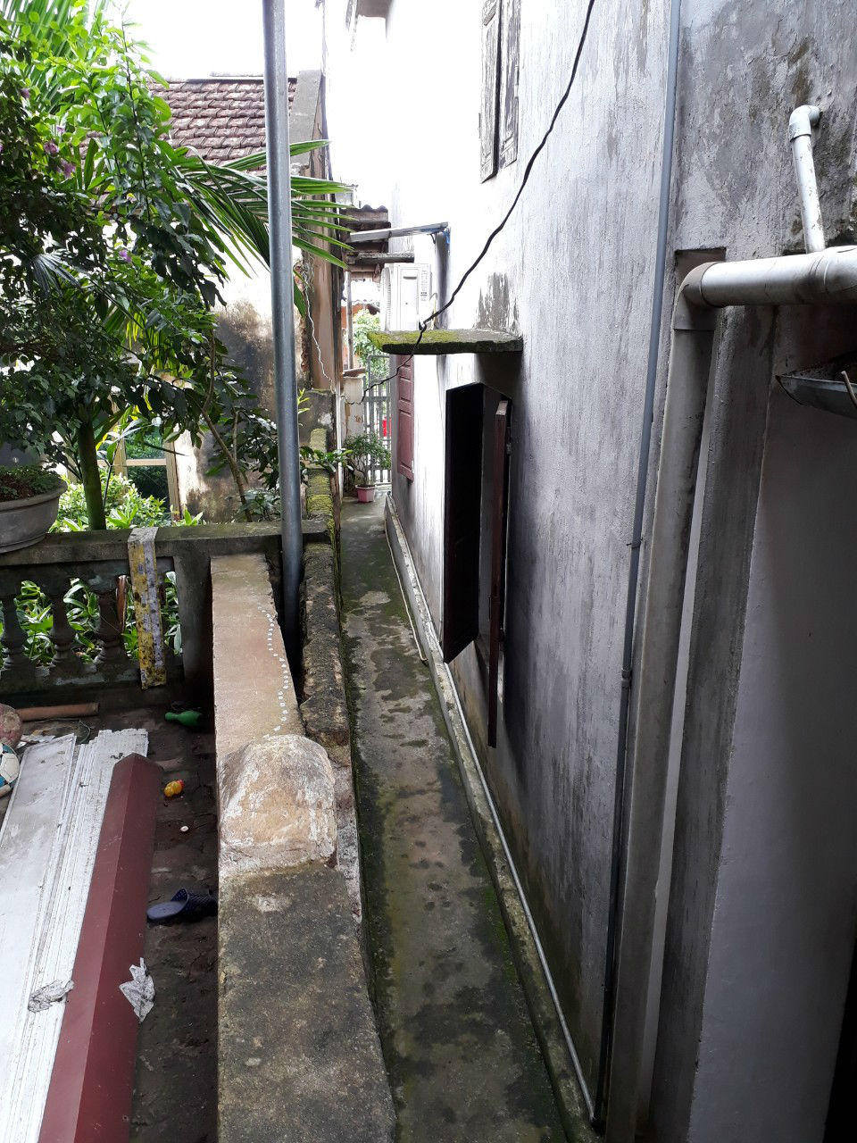 Tân Sơn (Phú Thọ): VKS kháng nghị bản án Tòa tuyên chỉ dựa vào lời khai bị đơn