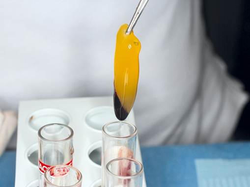 Nổi bật những ca mũi khó được giải cứu 2018