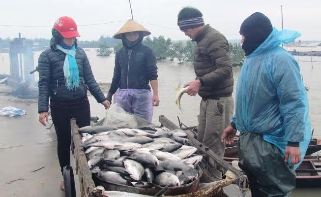 Thái Bình: Tiền tỉ hỗ trợ nông dân gặp thiên tai bị “ngâm tôm”