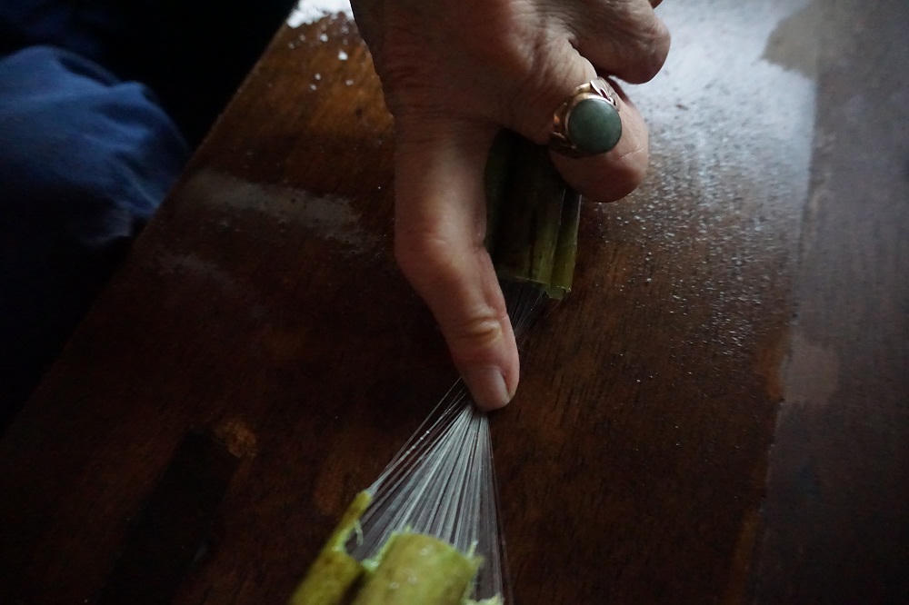 Người phụ nữ khiến sen nhả lụa