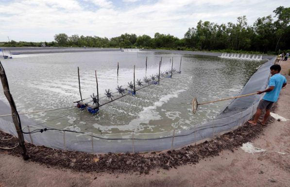 Ấn tượng của tín dụng chính sách ở Kiên Giang