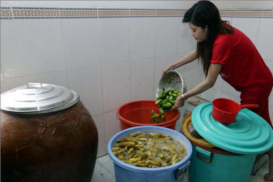 Ấn tượng của tín dụng chính sách ở Kiên Giang