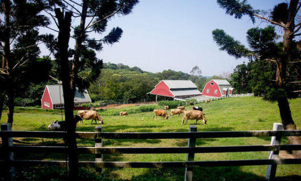 Bài học từ Đài Loan góp phần tạo “sóng du lịch nông nghiệp” tại Việt Nam