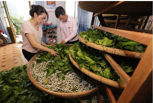 Không lo thiếu tiền, chỉ lo thiếu quyết tâm đi học