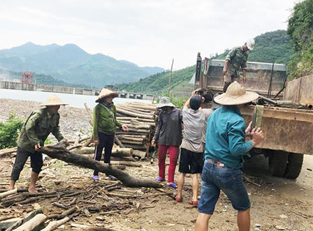 Lòng hồ thủy điện Bản Vẽ đang được dọn rác tích cực