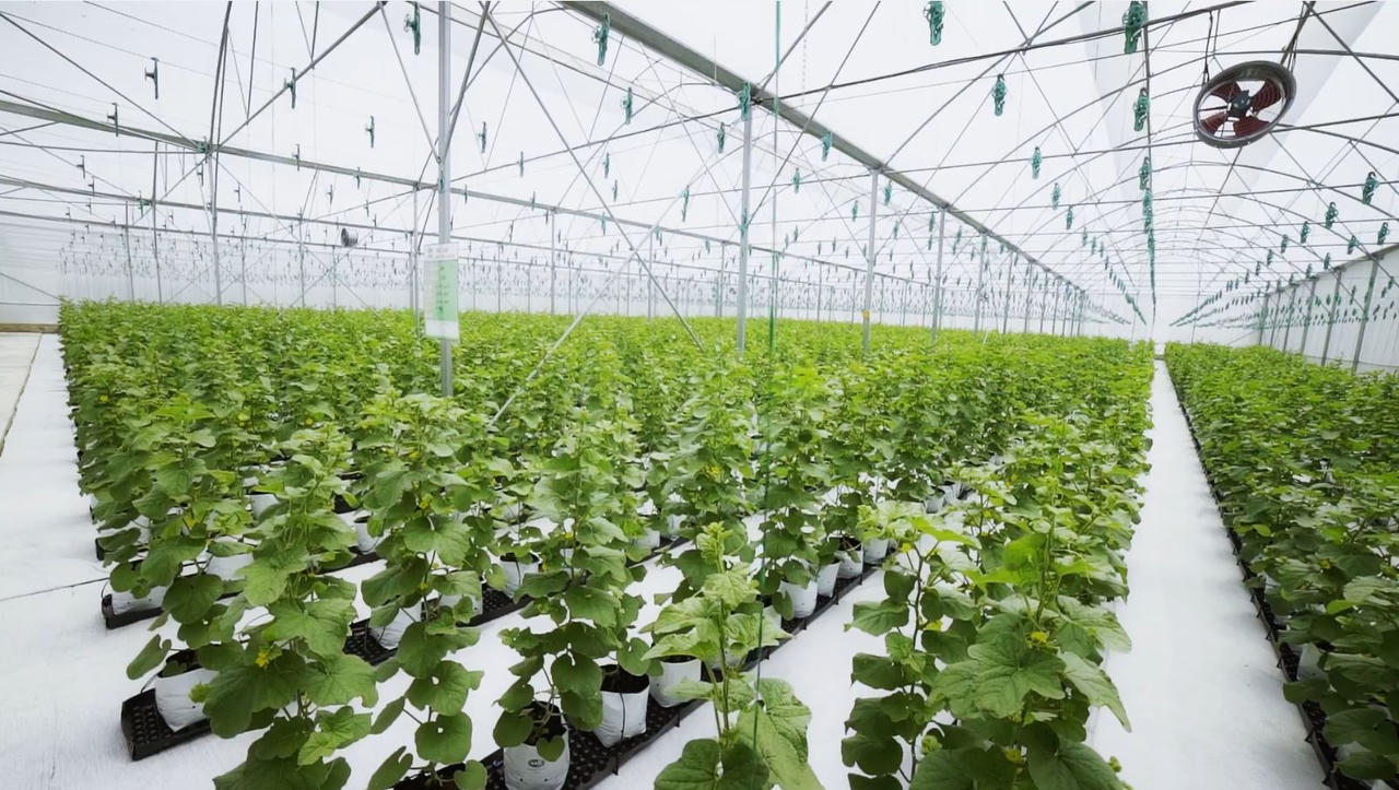 The PAN Group: Thành công vì kinh doanh bền vững 