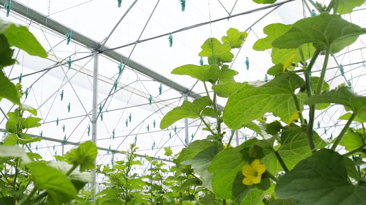 The PAN Group: Thành công vì kinh doanh bền vững 